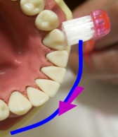 歯ブラシの動かし方